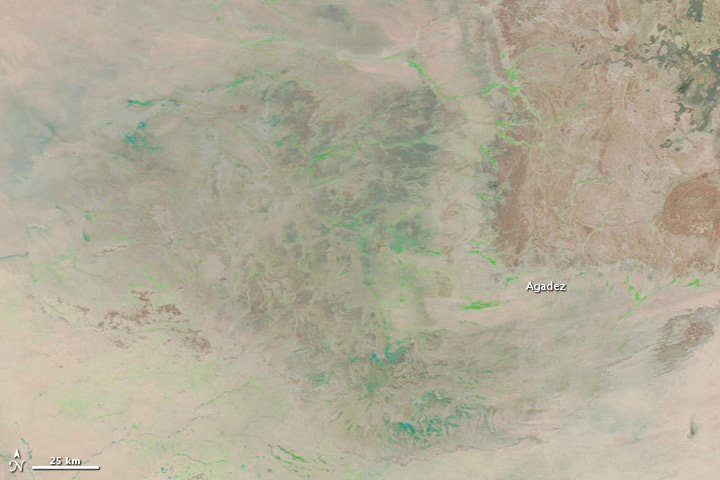 Flooding in Niger - related image preview