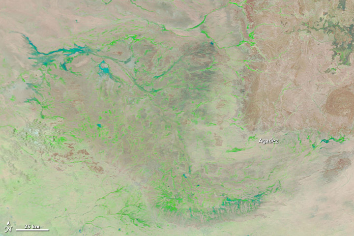 Flooding in Niger