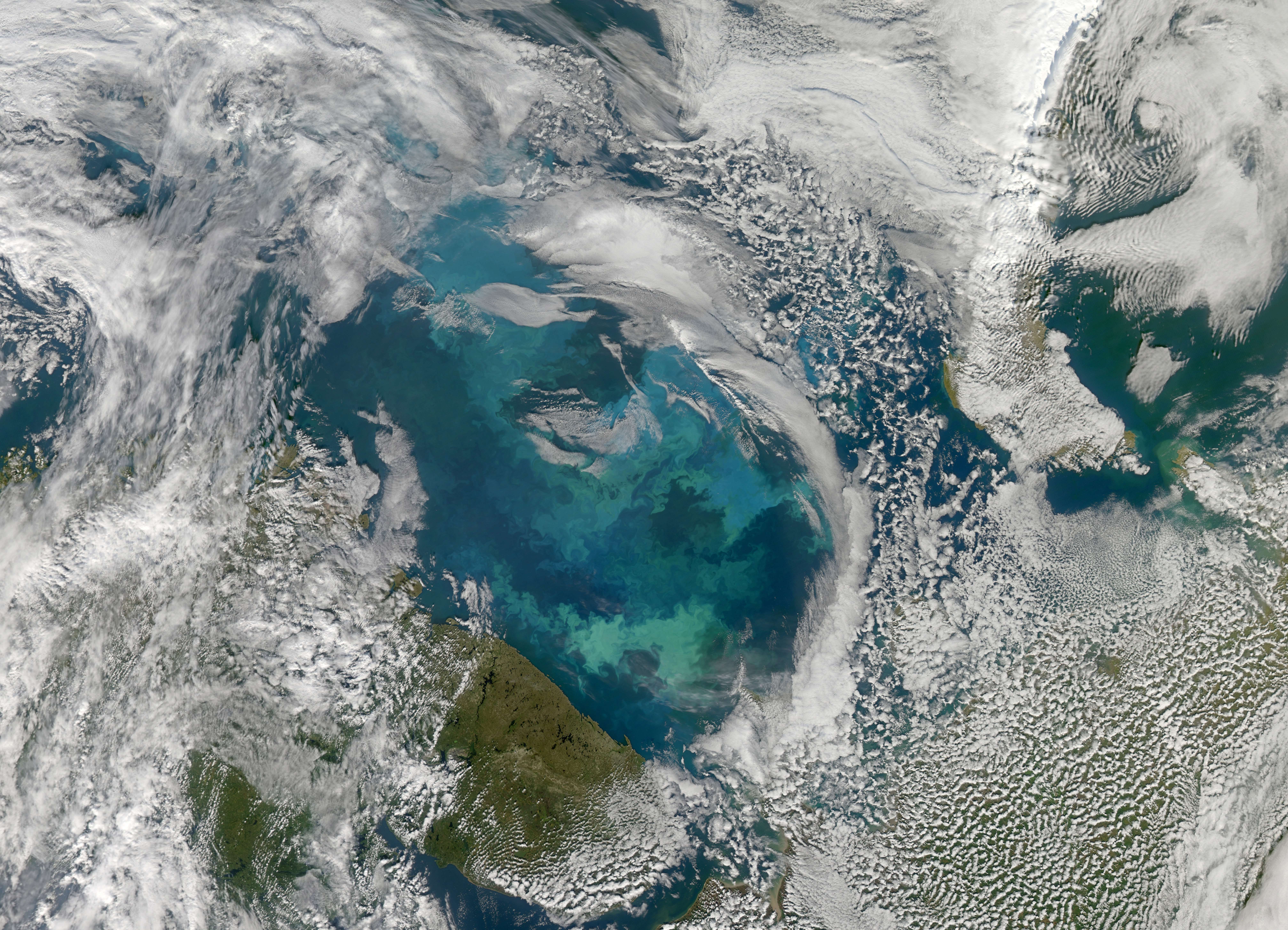 Phytoplankton Bloom in the Barents Sea - related image preview