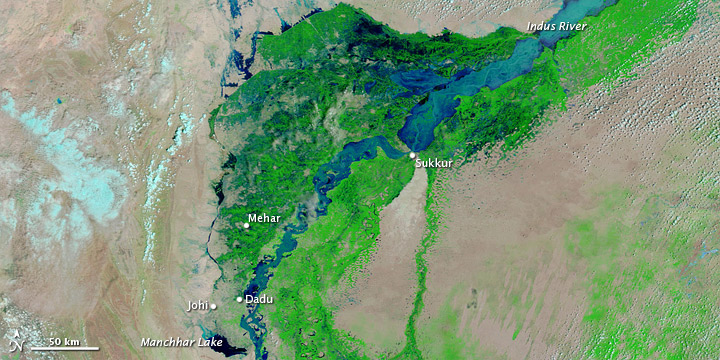 Flooding in Pakistan - related image preview