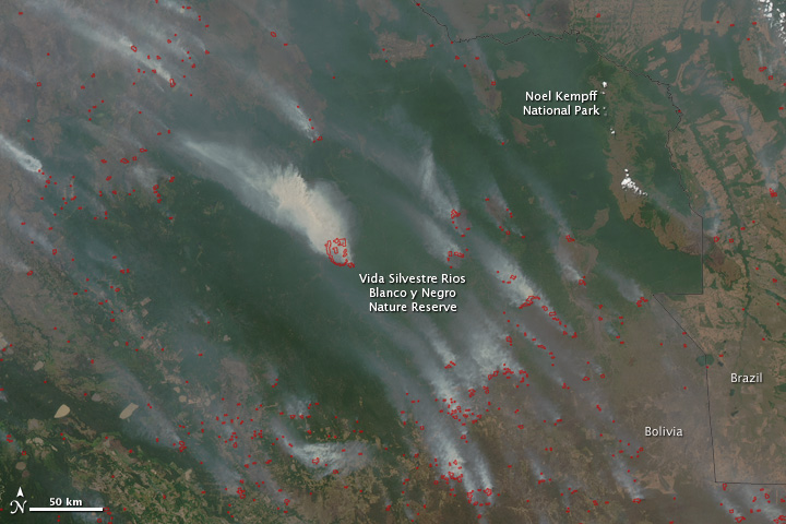 Fires in Santa Cruz, Bolivia - related image preview