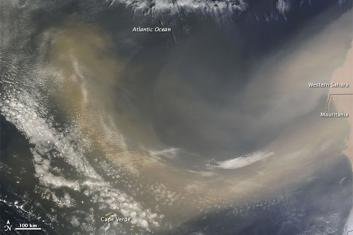 Dust Plumes off Western Africa