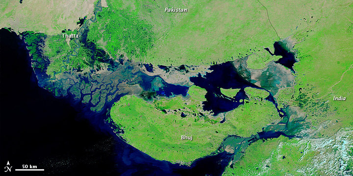 High Waters along the Pakistan-India Border - related image preview