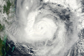 Hurricane Paula - related image preview