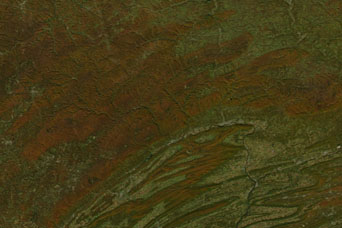 Fall Colors in the Allegheny Mountains - related image preview