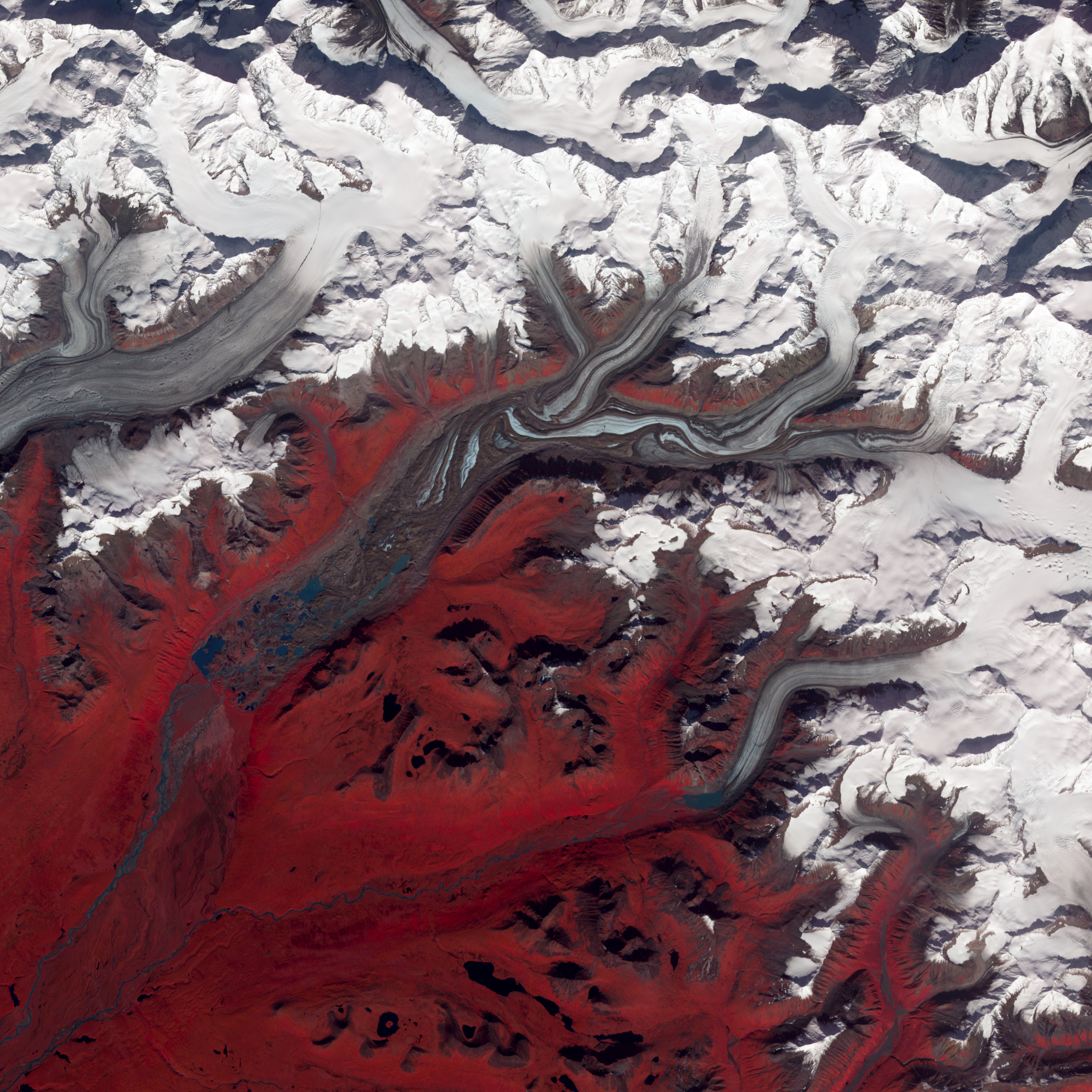 Susitna Glacier, Alaska - related image preview