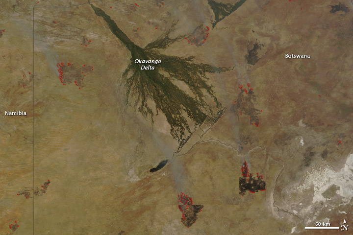 Fires in Botswana - related image preview