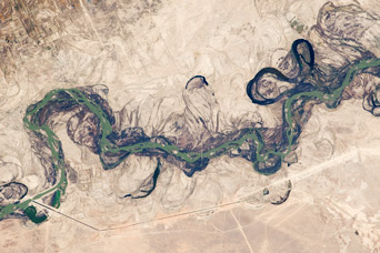 Syr Darya River Floodplain, Kazakhstan, Central Asia - related image preview