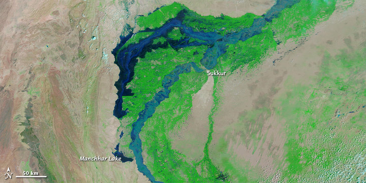 Flooding in Pakistan - related image preview