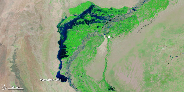 Flooding in Pakistan - related image preview