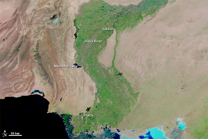 Flooding in Pakistan - related image preview