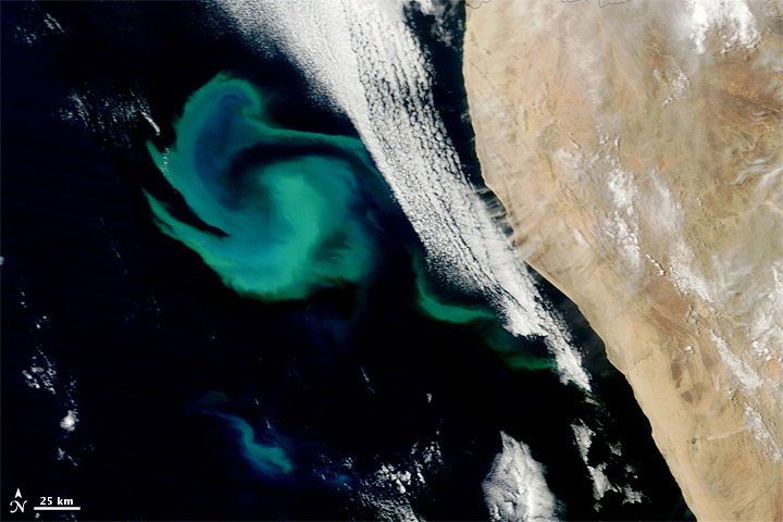 Bright Waters off the Namibian Coast - related image preview