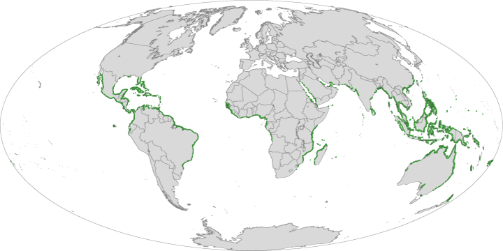 Mapping Mangroves by Satellite