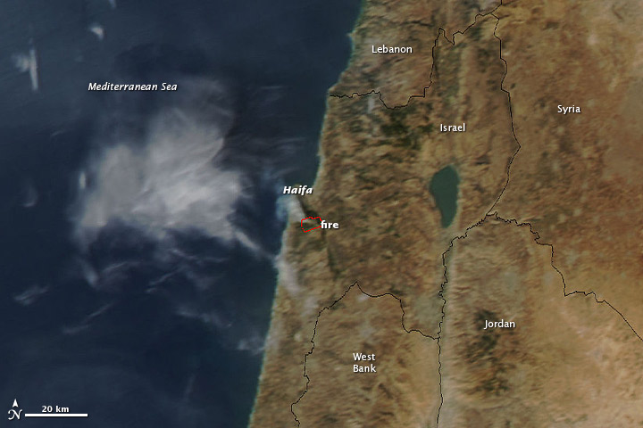 Deadly Forest Fire in Northern Israel - related image preview