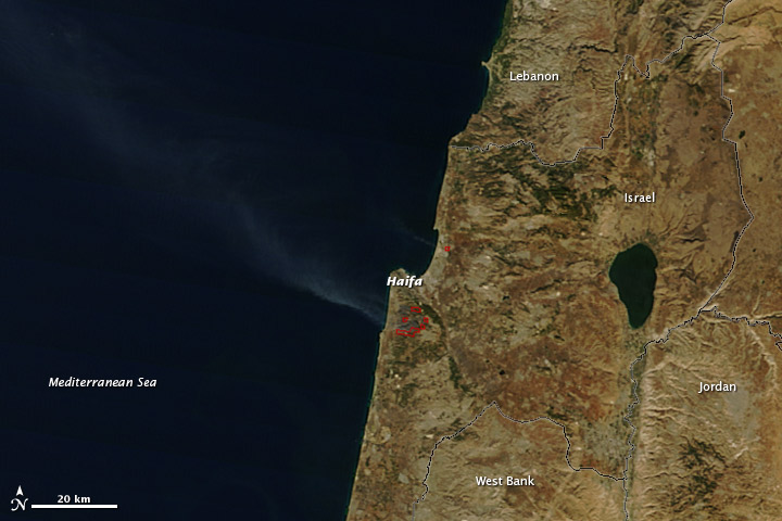 Deadly Forest Fire in Northern Israel - related image preview