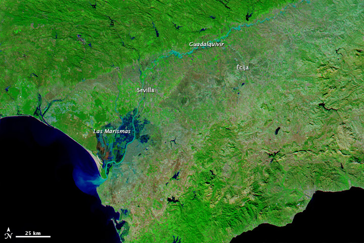Flooding in Southern Spain
