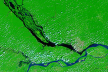 Brazil’s Negro River Reaches Record Low