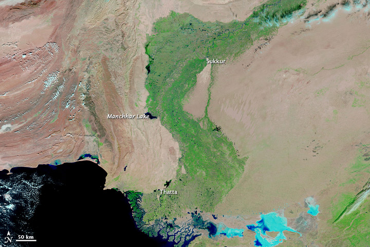 Lingering Floods in Pakistan - related image preview