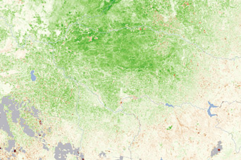 Australia Greens After Record Rains - related image preview