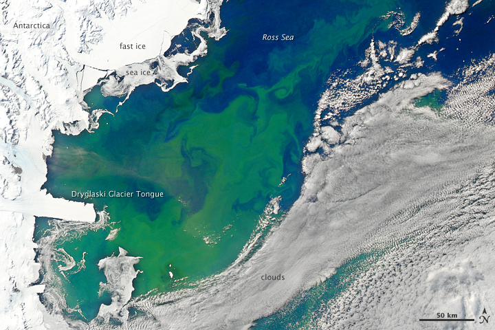 Bloom in the Ross Sea - related image preview