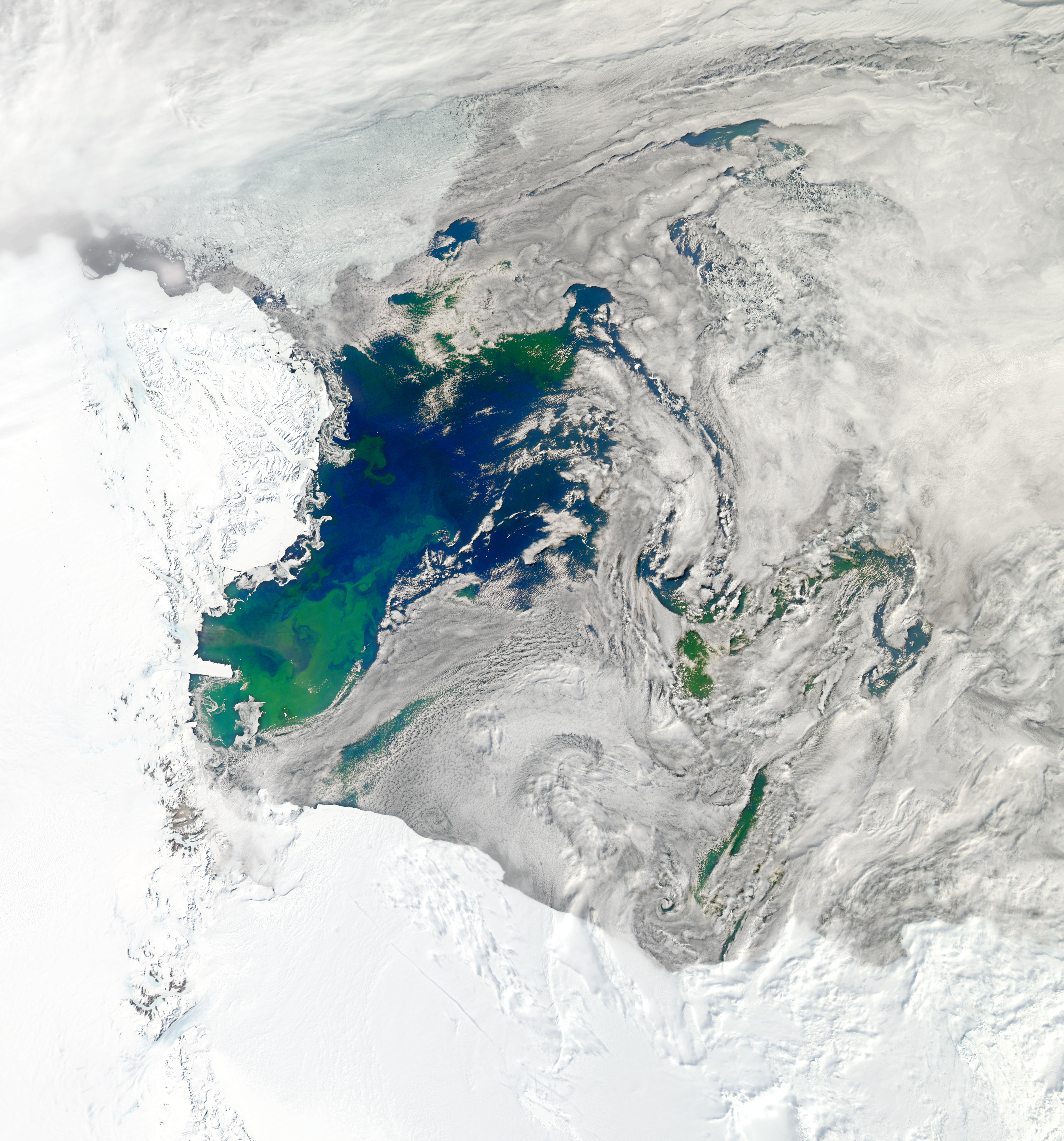 Bloom in the Ross Sea - related image preview