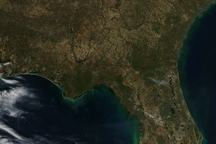 Fires in the Southeastern United States