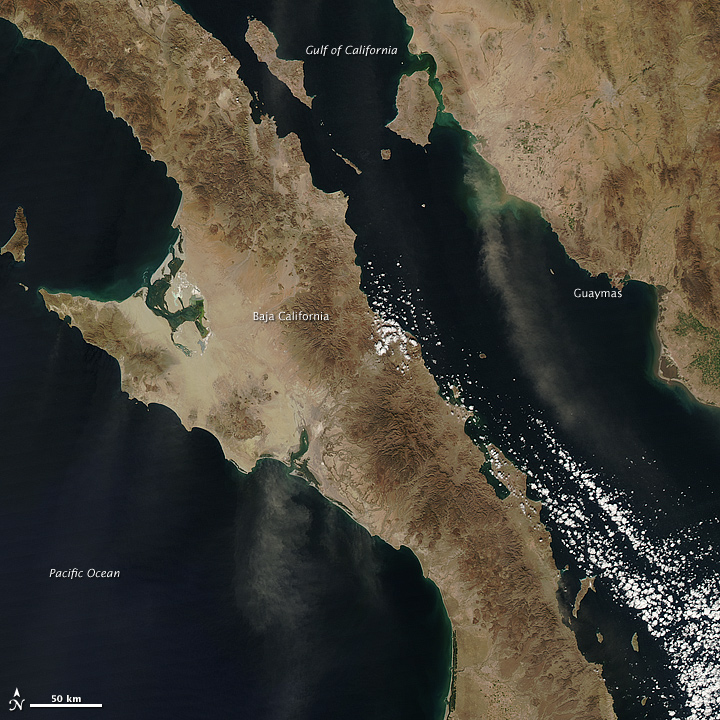 Dust Plumes off Mexico