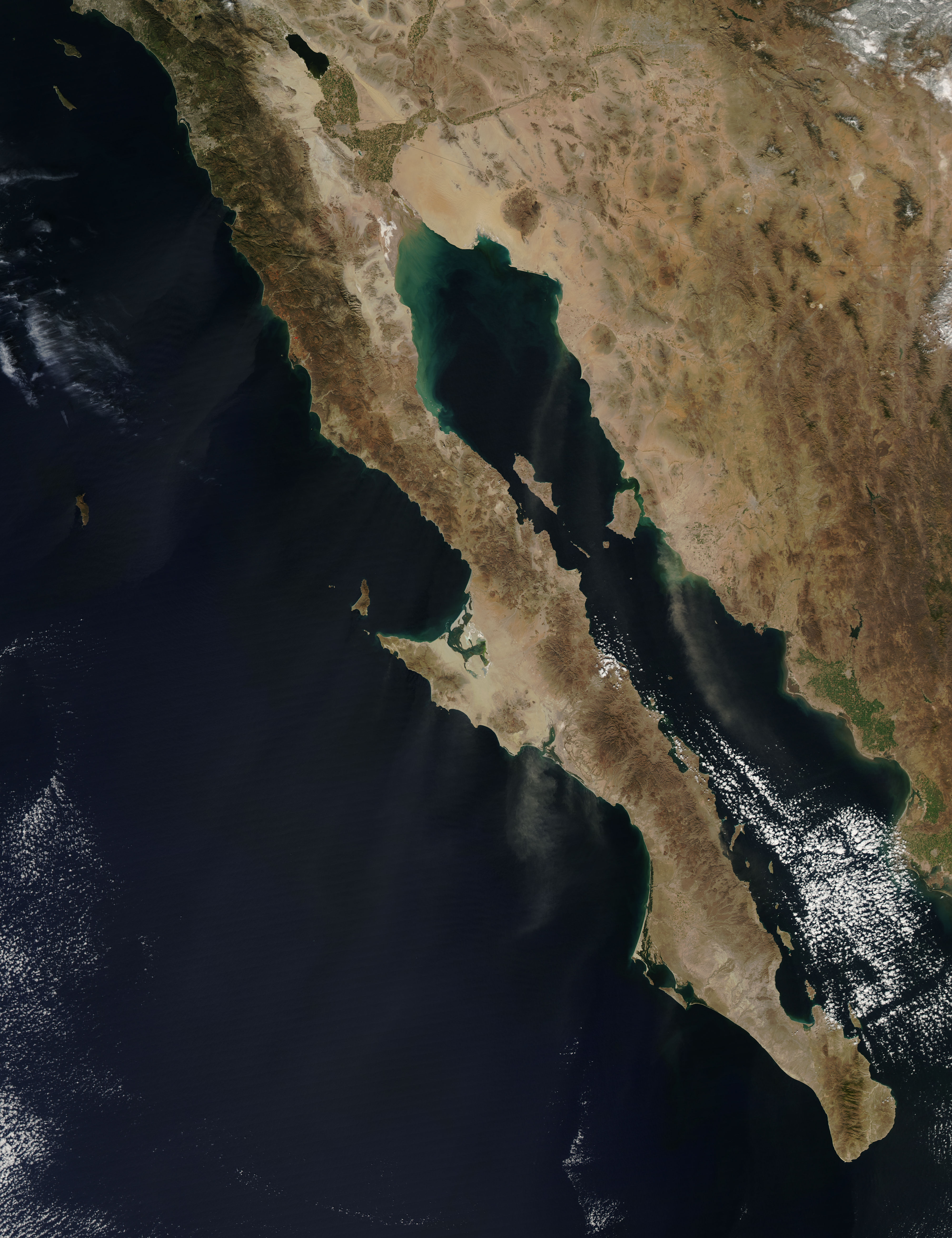 Dust Plumes off Mexico
