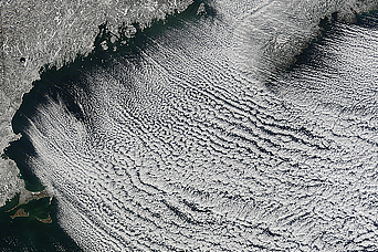 Winter Cloud Streets, North Atlantic - related image preview