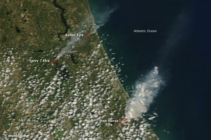 Wildfires in Florida