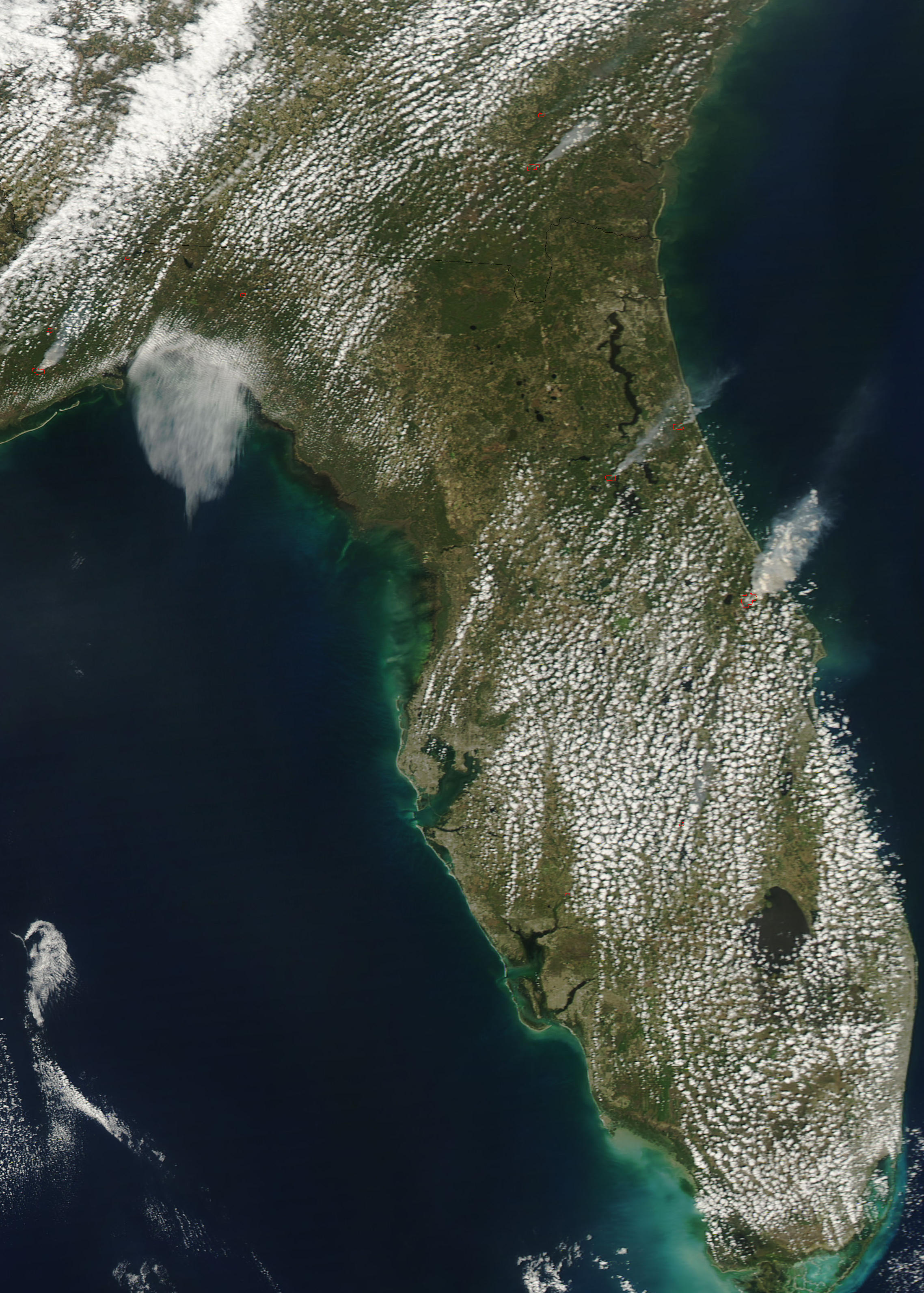 Wildfires in Florida - related image preview
