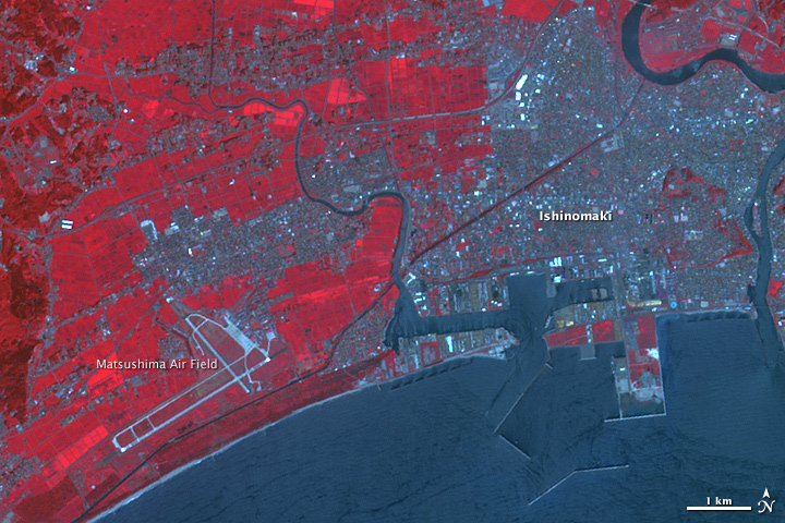 Tsunami Damage near Ishinomaki, Japan