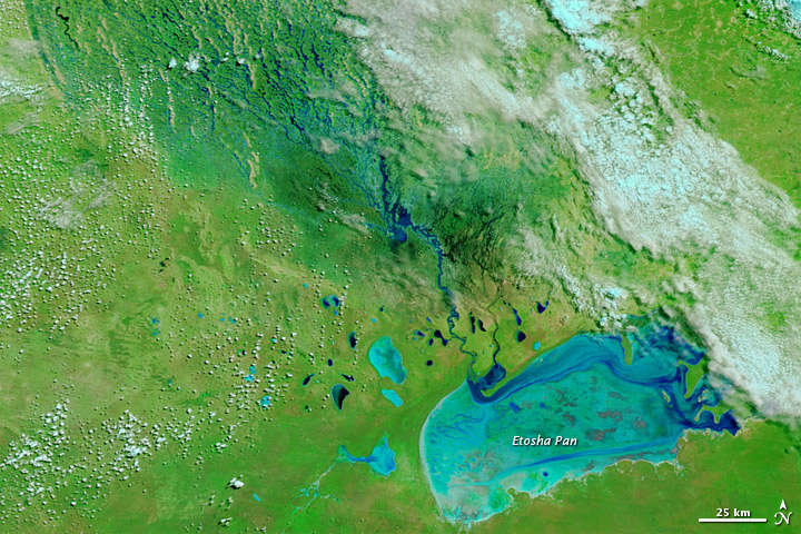 Flooding in Northern Namibia - related image preview