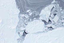 Flying over Arctic Sea Ice