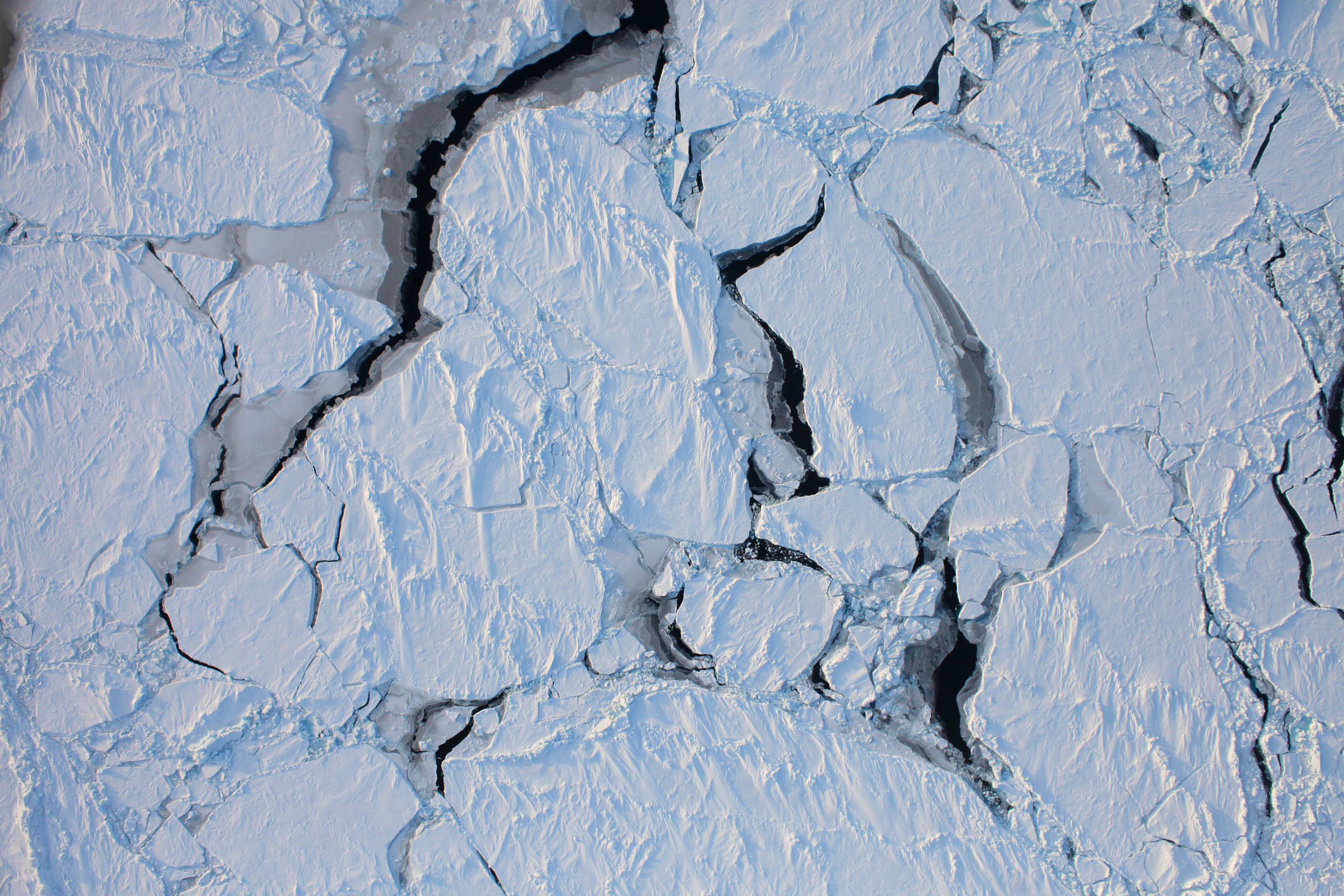 Flying over Arctic Sea Ice - related image preview