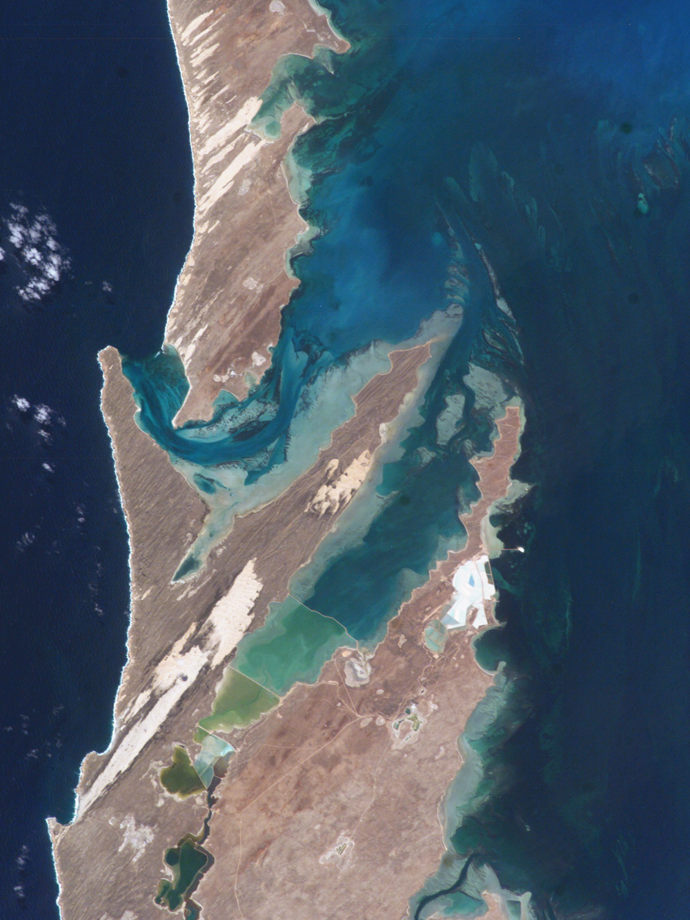 Shark Bay, Australia - related image preview
