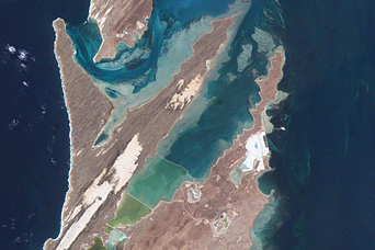 Shark Bay, Australia - related image preview