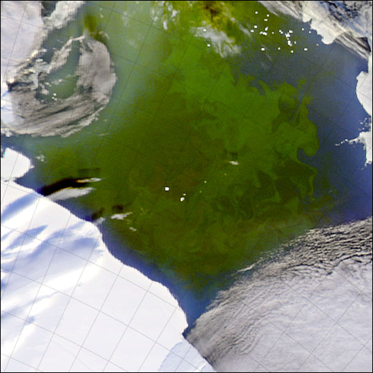 Phytoplankton Bloom in the Ross Sea