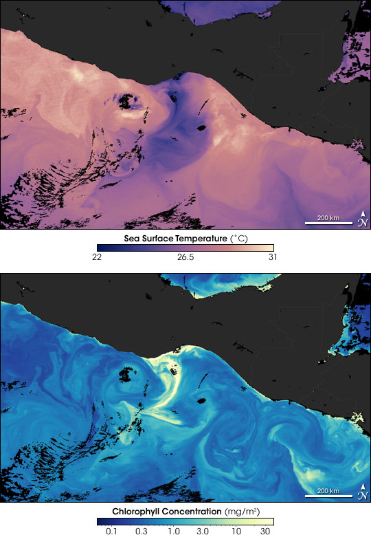 Cold-water Upwelling in the Gulf of Tehuantepec