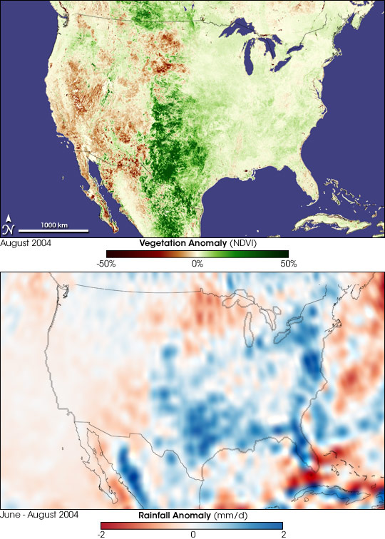 Unique Weather Yields Record Crops