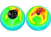 New Measurements of  Arctic Ozone