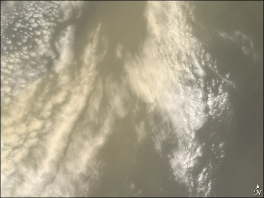 Saharan Dust Cloud Sails Toward U.S.