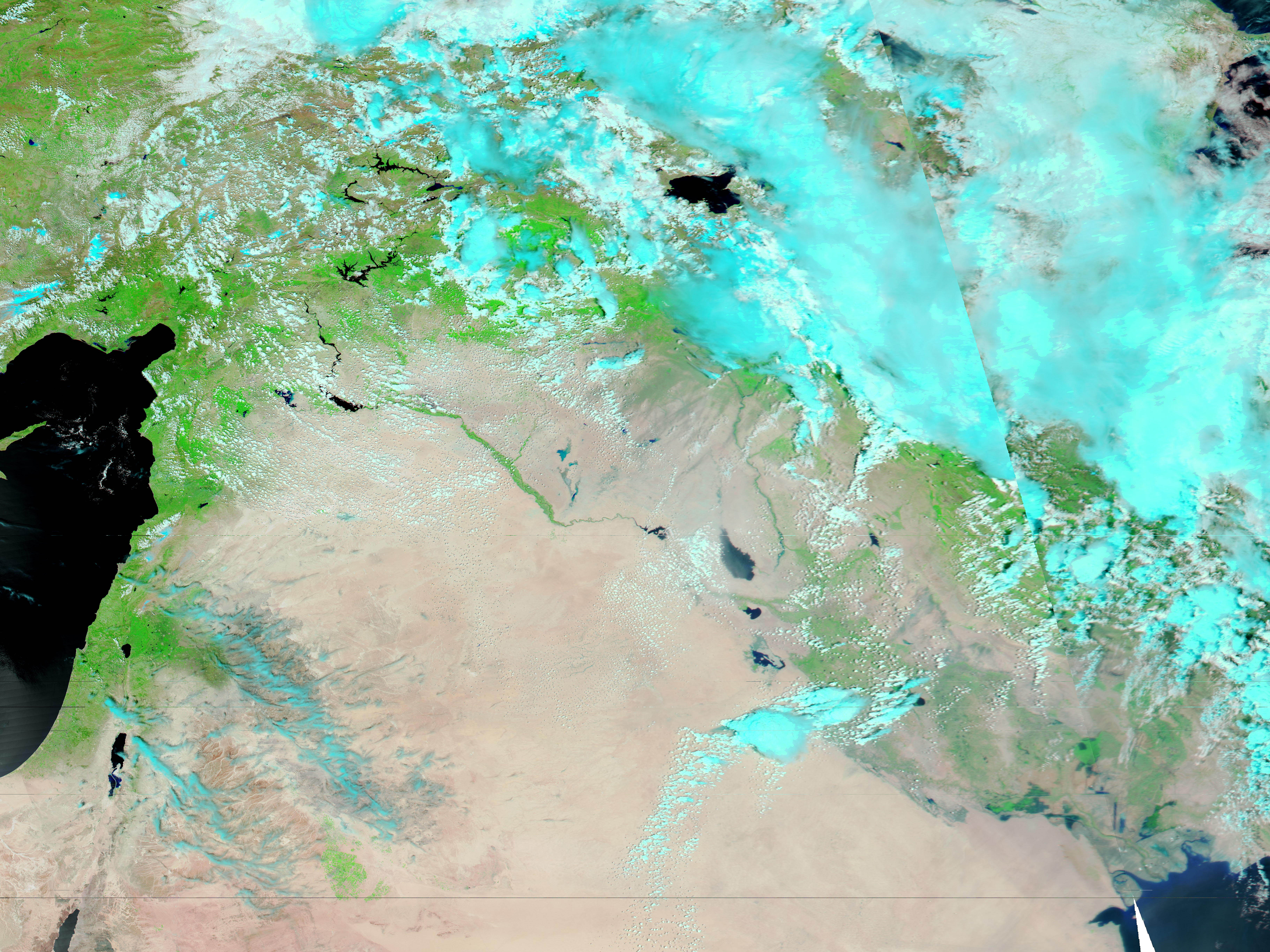 Floods in Northeastern Syria - related image preview