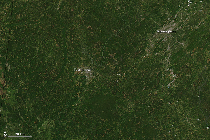 Tornado Tracks in Tuscaloosa, Alabama