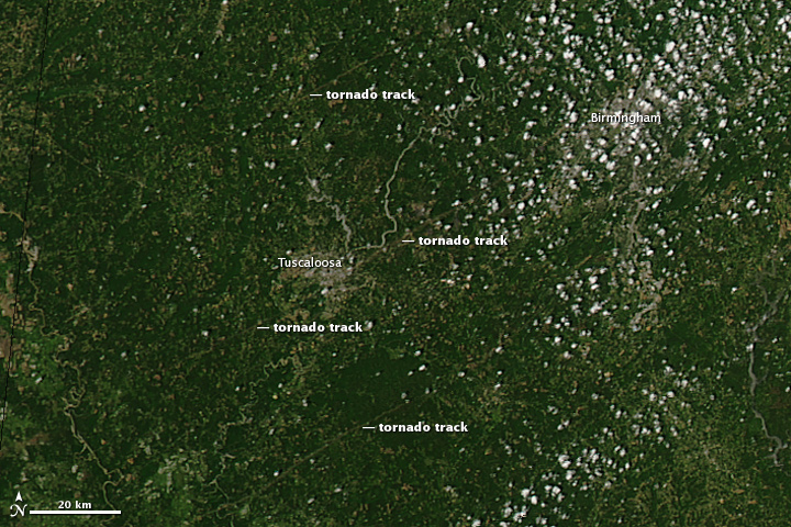 Tornado Tracks in Tuscaloosa, Alabama