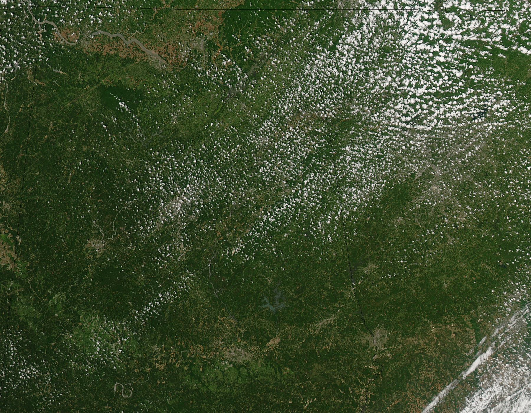 Tornado Tracks in Alabama and Georgia - related image preview