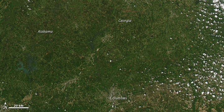 Tornado Tracks in Alabama and Georgia