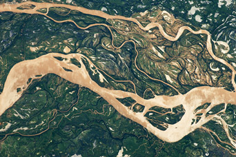Paraná  River Floodplain, Northern Argentina - related image preview