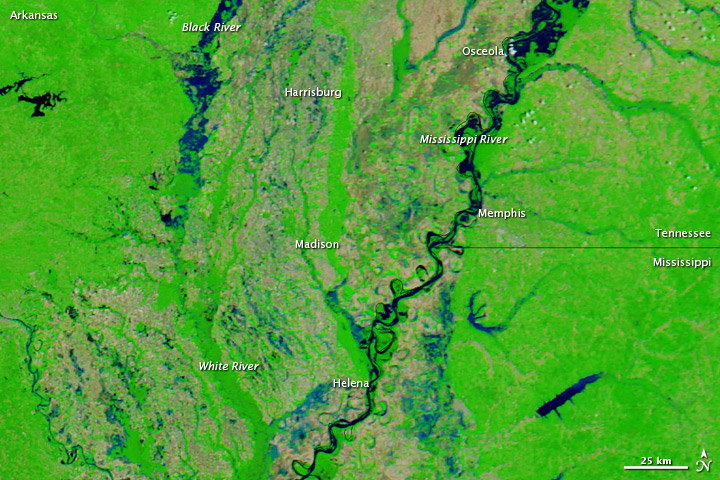 Flooding in Arkansas - related image preview