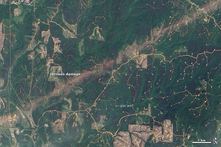 Tornado Damage near Berry, Alabama